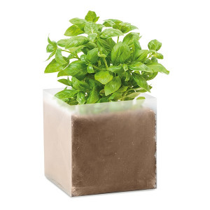 GARDENY VRECKO SO SEMIENKAMI, BAZALKA